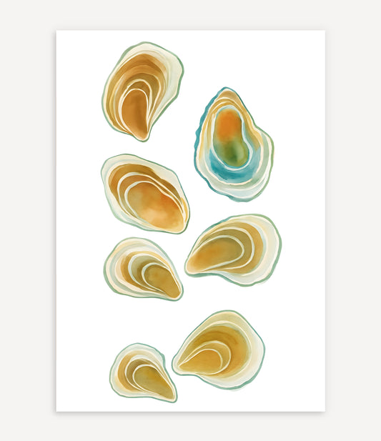 SEASHELL POSTER