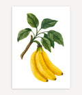 BANANA PLANTA POSTER - Image 1
